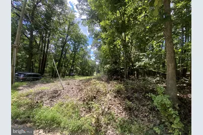 17A1-5-15 Timber Ln, Bluemont, VA 20135 - Photo 6