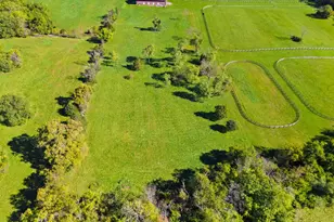 1077 Ginns Rd, Boyce, VA 22620 - Photo 124