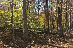 Cliff Ln, Bluemont, VA 20135 - Photo 1