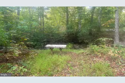 Cliff Lane, Bluemont, VA 20135 - Photo 12