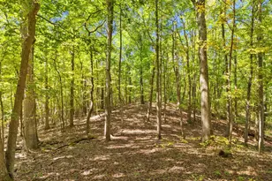 9533 Howellsville Rd, Boyce, VA 22620 - Photo 48