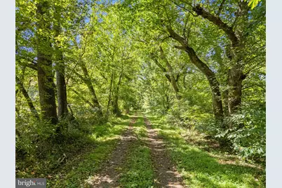 9533 Howellsville Road, Boyce, VA 22620 - Photo 10