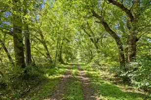 9533 Howellsville Rd, Boyce, VA 22620 - Photo 10