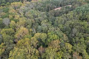 2983 Old Winchester Rd, Boyce, VA 22620 - Photo 34