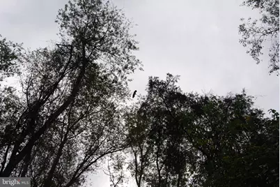 2983 Old Winchester Road, Boyce, VA 22620 - Photo 36