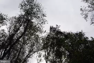 2983 Old Winchester Rd, Boyce, VA 22620 - Photo 36