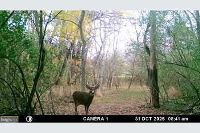 2983 Old Winchester Road, Boyce, VA 22620 - Photo 86