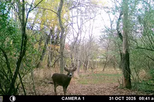 2983 Old Winchester Rd, Boyce, VA 22620 - Photo 86