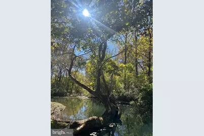 1690 Millwood Road, Boyce, VA 22620 - Photo 10