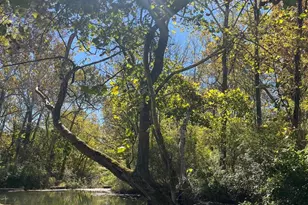 1690 Millwood Rd, Boyce, VA 22620 - Photo 10