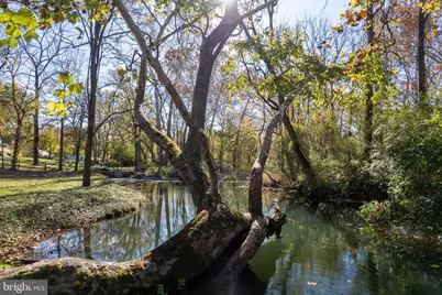 1690 Millwood Road, Boyce, VA 22620 - Photo 38
