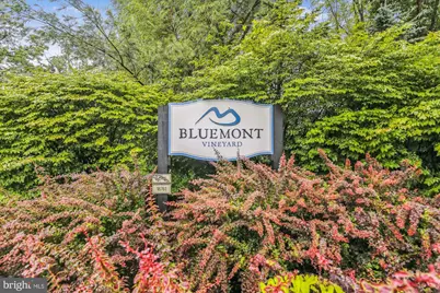598 Timber Lane, Bluemont, VA 20135 - Photo 40