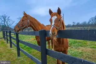 165 Ancient Oak Ln, Berryville, VA 22611 - Photo 64