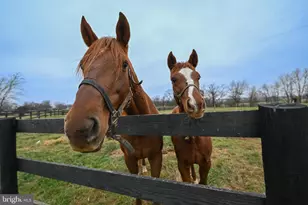 165 Ancient Oak Ln, Berryville, VA 22611 - Photo 6