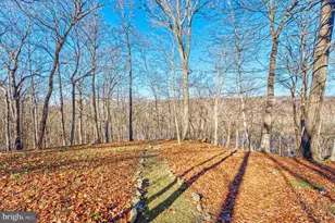 222 Barred Owl Ln, Boyce, VA 22620 - Photo 82