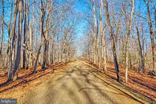 222 Barred Owl Ln, Boyce, VA 22620 - Photo 80