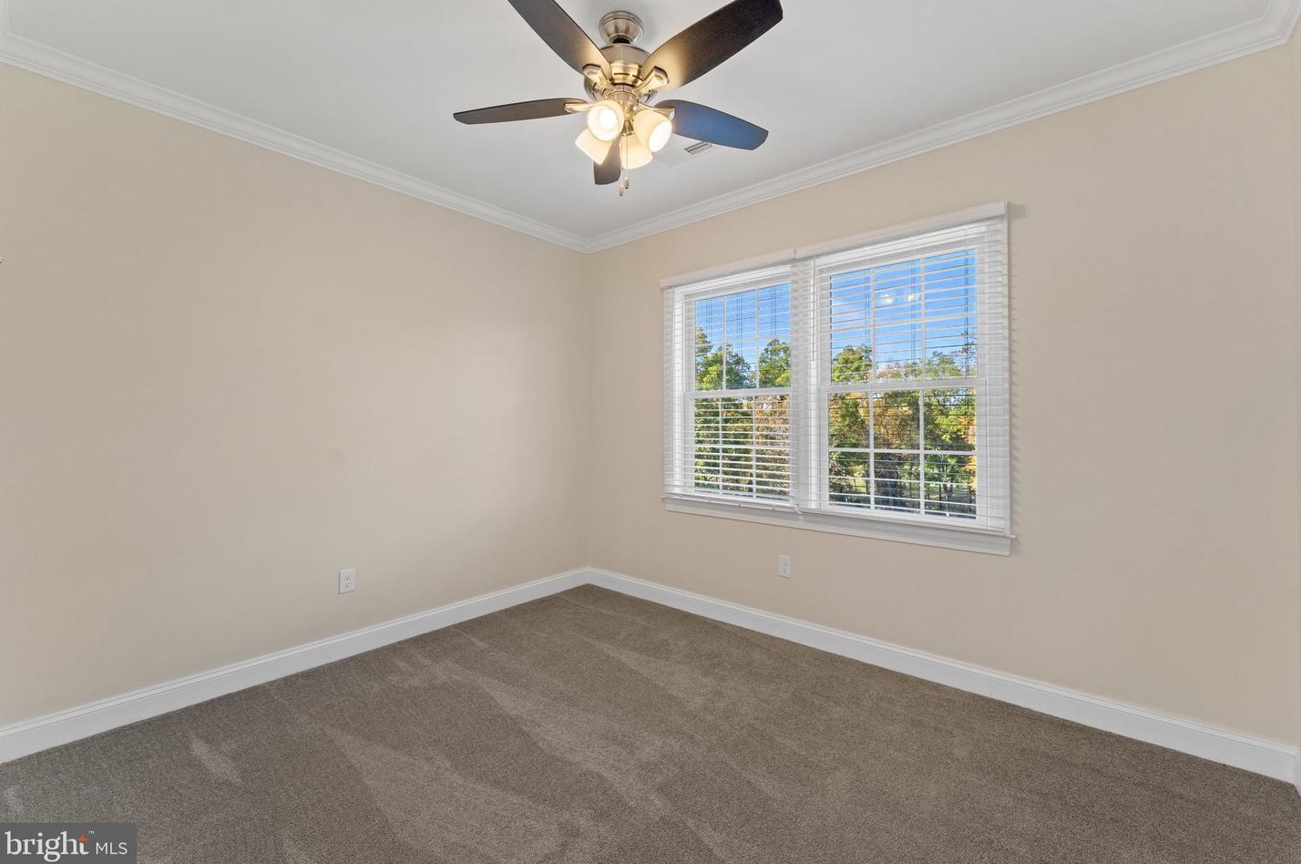 11192 Rixeyville Rd, Culpeper VA  22701-5249 exterior
