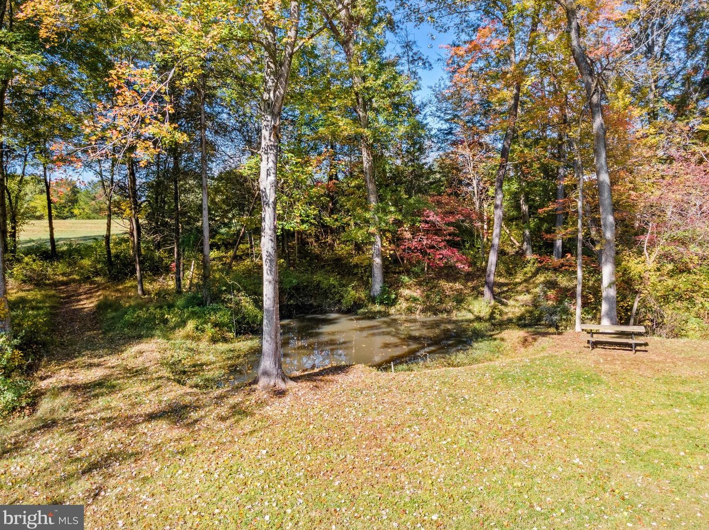 11192 Rixeyville Rd, Culpeper VA  22701-5249 exterior