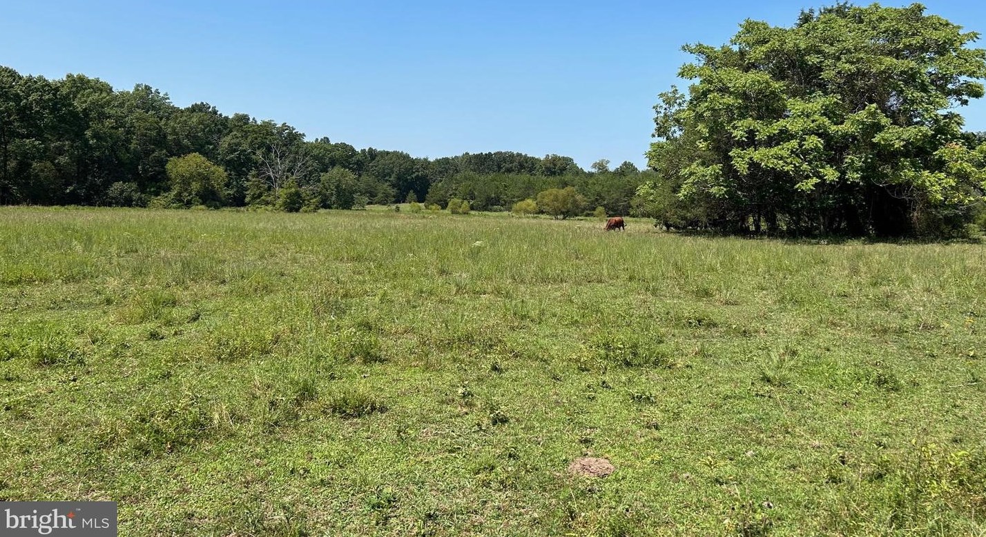 21260 Cedar Grv Rd, Culpeper VA  22701-7820 exterior