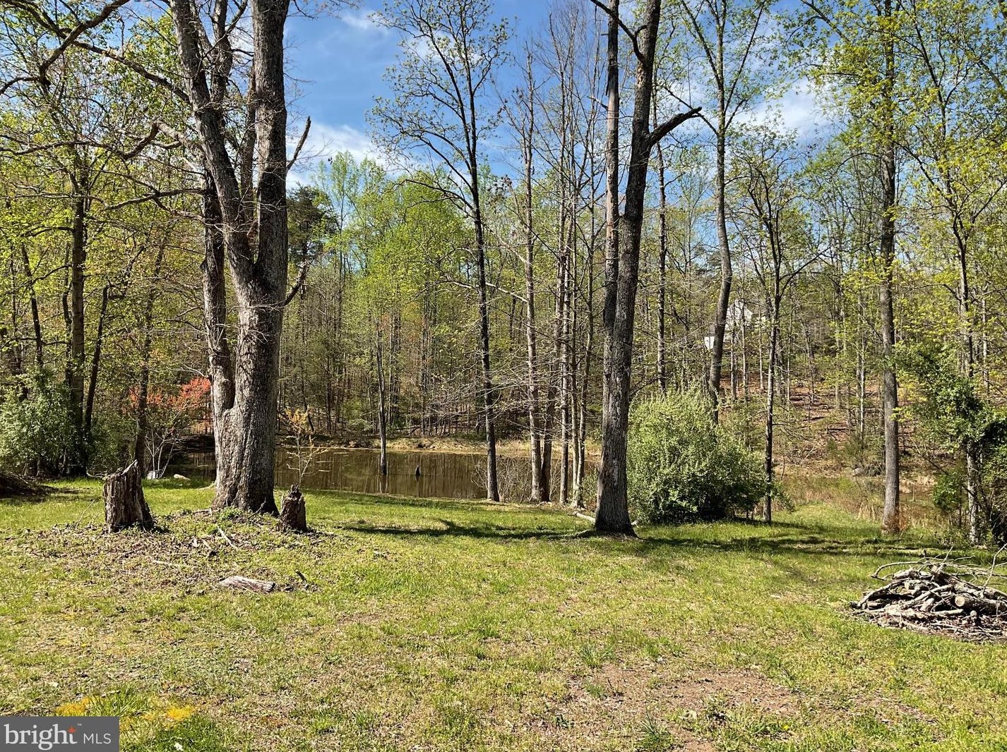 3098 Jefferson Woods Ln, Viewtown, VA 20106-1845