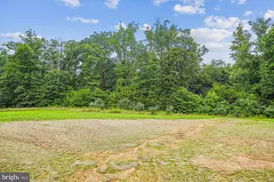 Lot 9 Ryland Chapel Rd, Rixeyville, VA 22737 - Photo 8
