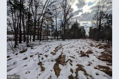 Rapidan Road, Rapidan, VA 22733 - Photo 10