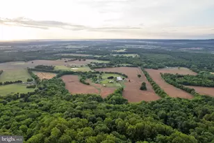 23350 Cedar Mountain Dr, Rapidan, VA 22733 - Photo 106