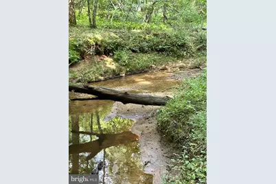 Parcel 6-22A Black Hill Rd., Rixeyville, VA 22737 - Photo 6