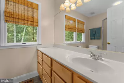 8260 River Hills Lane, Rixeyville, VA 22737 - Photo 62