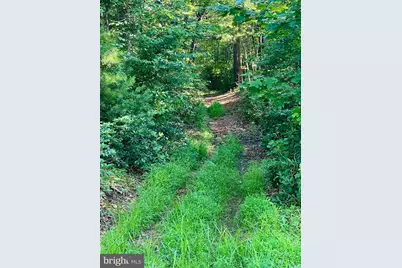 17034, 17030, 17046 Lee Highway, Amissville, VA 20106 - Photo 68