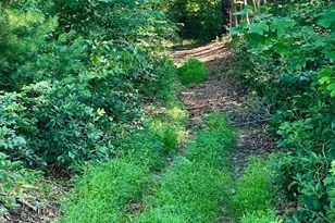 17034 17030 17046 Lee Hwy, Amissville, VA 20106 - Photo 68