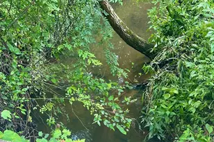 17034 17030 17046 Lee Hwy, Amissville, VA 20106 - Photo 70