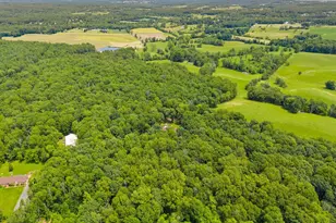 13013 Alum Springs Rd, Culpeper, VA 22701 - Photo 98