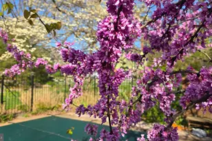 802 S Blue Ridge Ave, Culpeper, VA 22701 - Photo 92