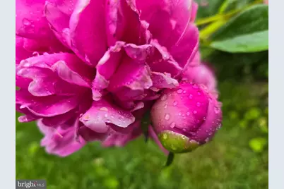 802 S Blue Ridge Avenue, Culpeper, VA 22701 - Photo 86