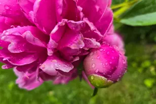 802 S Blue Ridge Ave, Culpeper, VA 22701 - Photo 86