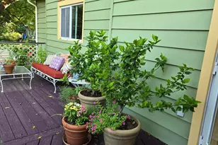 802 S Blue Ridge Ave, Culpeper, VA 22701 - Photo 18