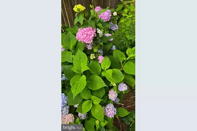 802 S Blue Ridge Avenue, Culpeper, VA 22701 - Photo 96