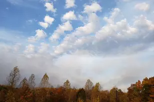 18257 Carter Ln, Brandy Station, VA 22714 - Photo 36