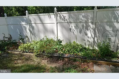 4145 Running Quail Trl Trail, Amissville, VA 20106 - Photo 76