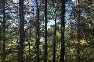 Parcel 15 Kipps Ln, Elkwood, VA 22718 - Photo 1