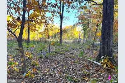 16120 Brandy Road, Culpeper, VA 22701 - Photo 10