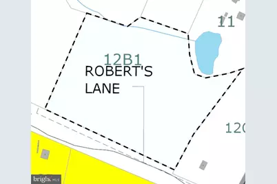 Roberts Lane Lane, Rixeyville, VA 22737 - Photo 1