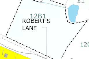 Roberts Ln Ln, Rixeyville, VA 22737 - Photo 1