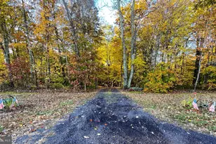 24552 Eleys Ford Rd, Lignum, VA 22726 - Photo 14