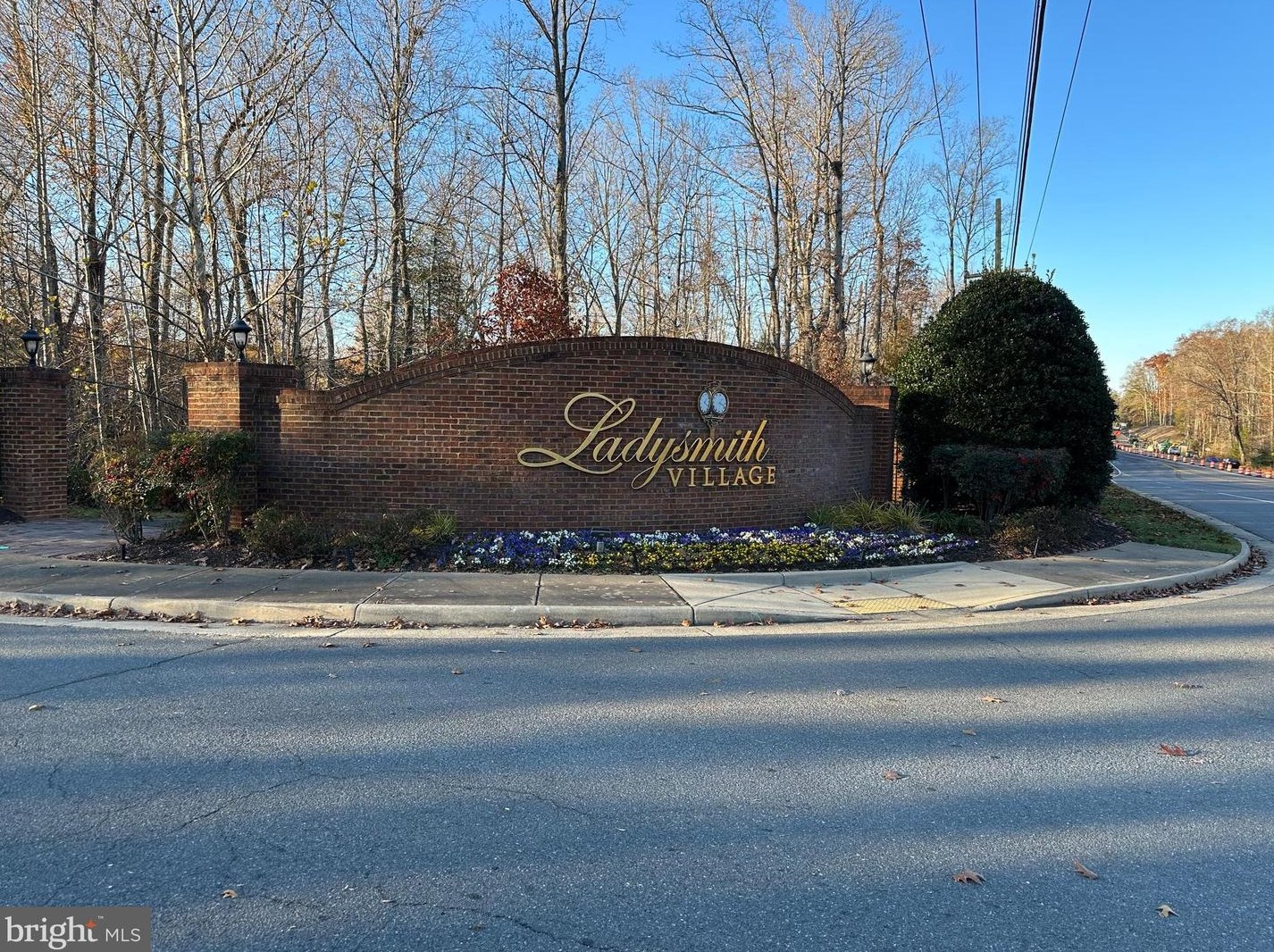 17215 Library Blvd, Ruther Glen VA  22546-5801 exterior