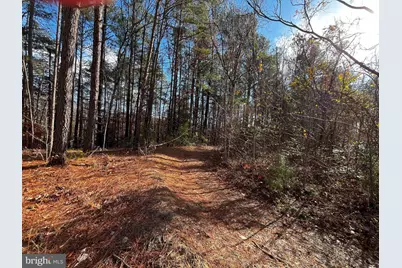 0B McKenney Drive, Woodford, VA 22580 - Photo 8