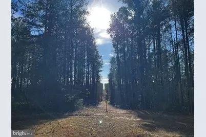 0B McKenney Drive, Woodford, VA 22580 - Photo 6