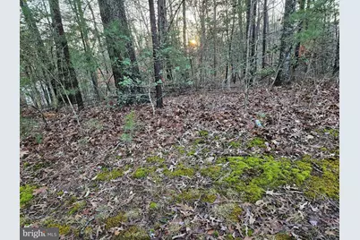 291 Land Or Drive, Ruther Glen, VA 22546 - Photo 4