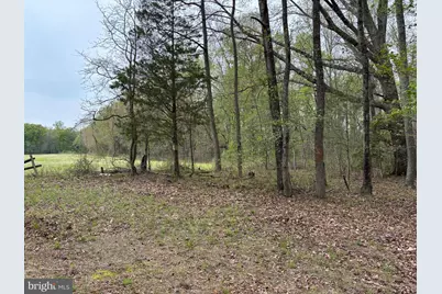 0 Paige Road, Woodford, VA 22580 - Photo 6